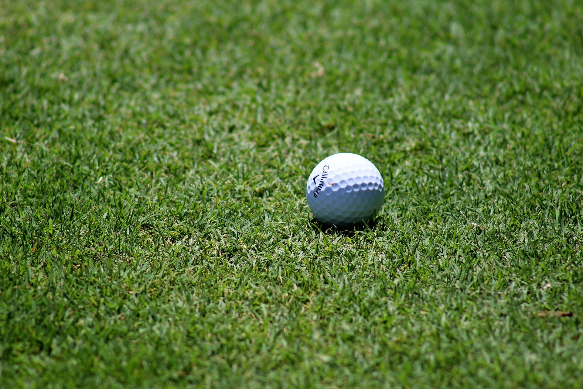 kurzy golfu praha